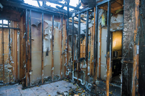 Professional Fire Damage Removal technician working in Gaylord, MI